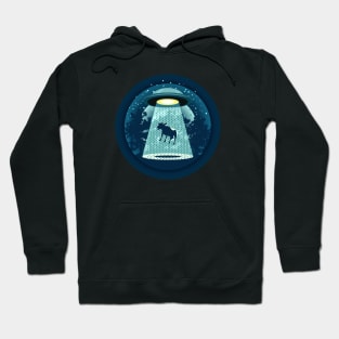 Beware UFO Hoodie